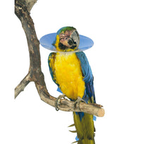 Buster Collares Desechables Para Aves