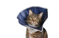Buster Collar Desechable Para Gatos y Perros