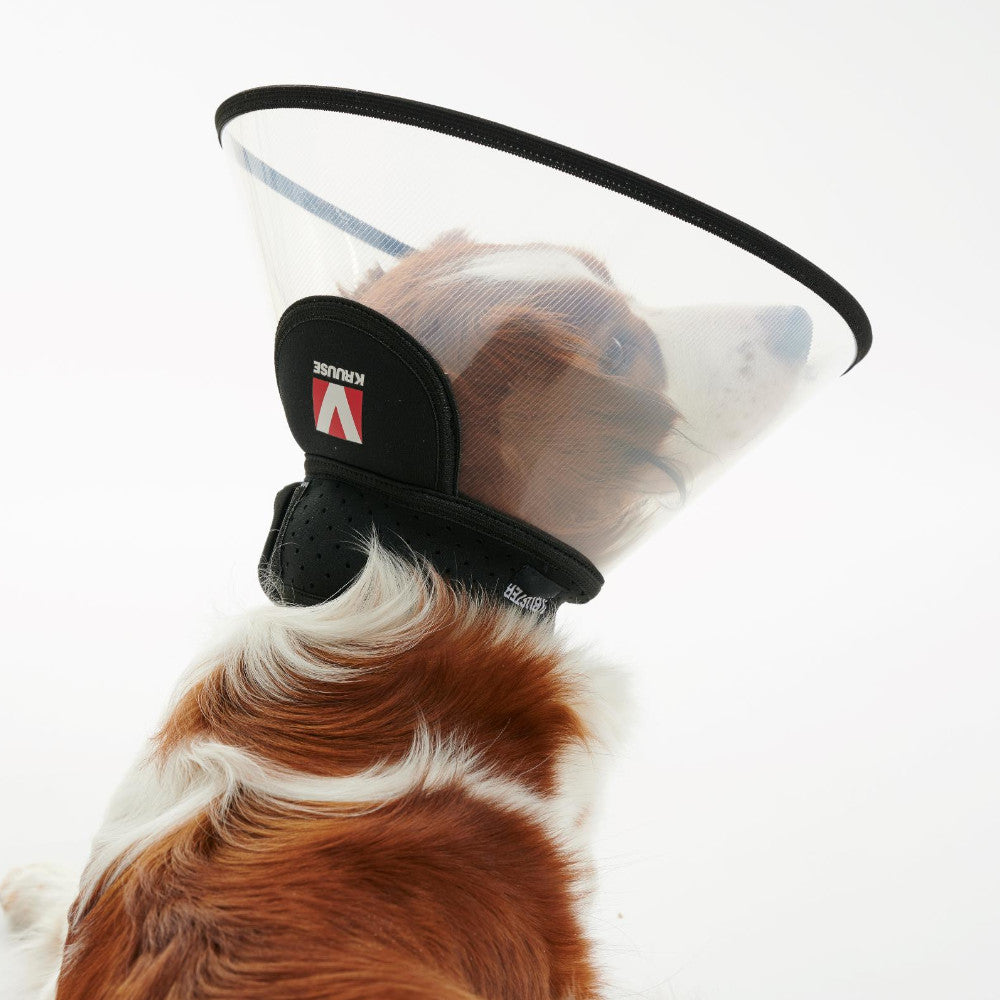 BUSTER Complete Collar – Distrito Vet