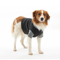 Buster Body Suit Classic Para Perro Negro/Gris