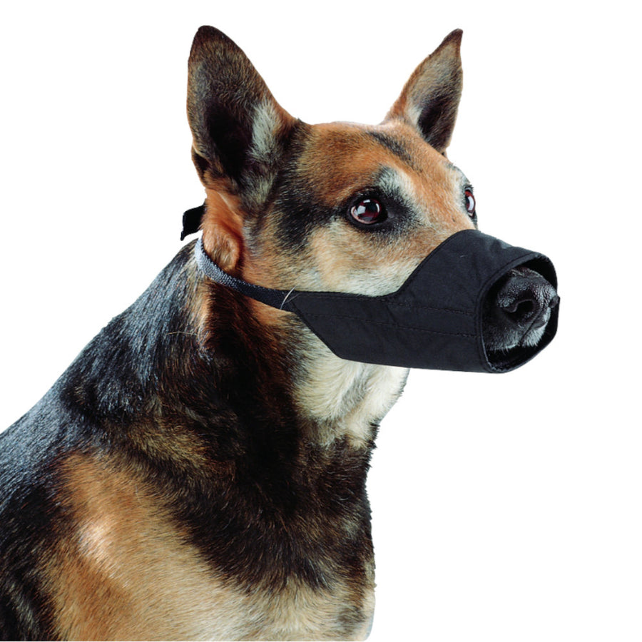 Buster Bozal De Nylon