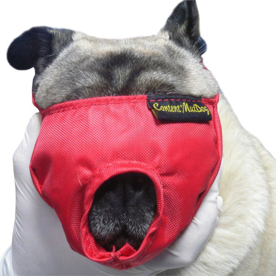 BUSTER Bozal De Nylon Para Perro Braquicéfalo