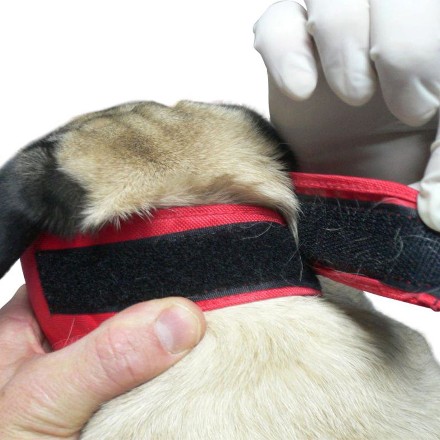 BUSTER Bozal De Nylon Para Perro Braquicéfalo