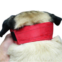 BUSTER Bozal De Nylon Para Perro Braquicéfalo