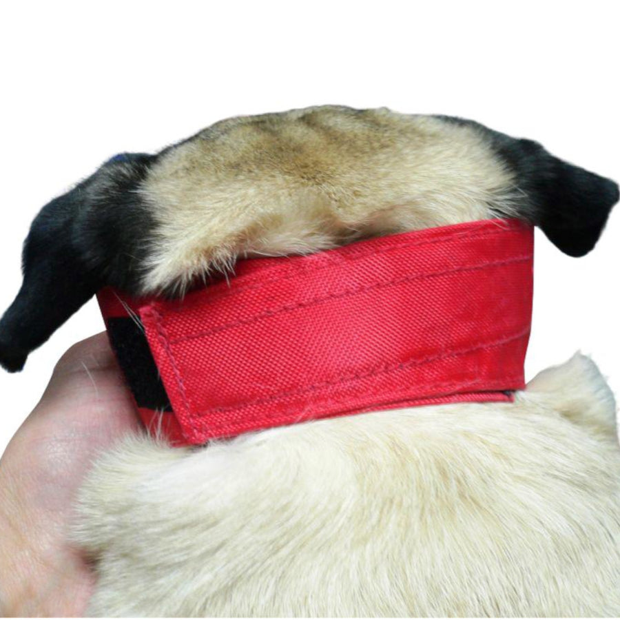 BUSTER Bozal De Nylon Para Perro Braquicéfalo