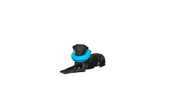 BUSTER Collar Inflable  PVC