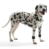 Kruuse Rehab Muñequera De Peso Para Perro