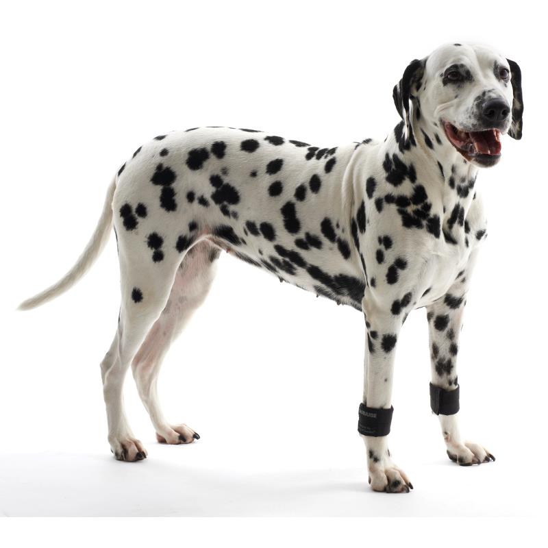 Kruuse Rehab Muñequera De Peso Para Perro
