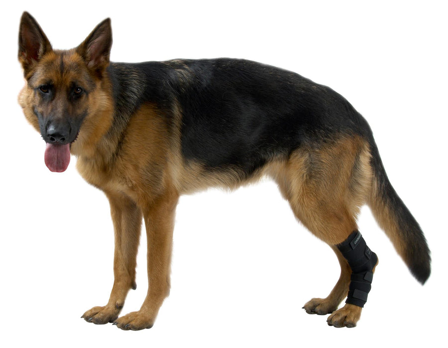 BUSTER Rehabilitación Protector De Jarrete