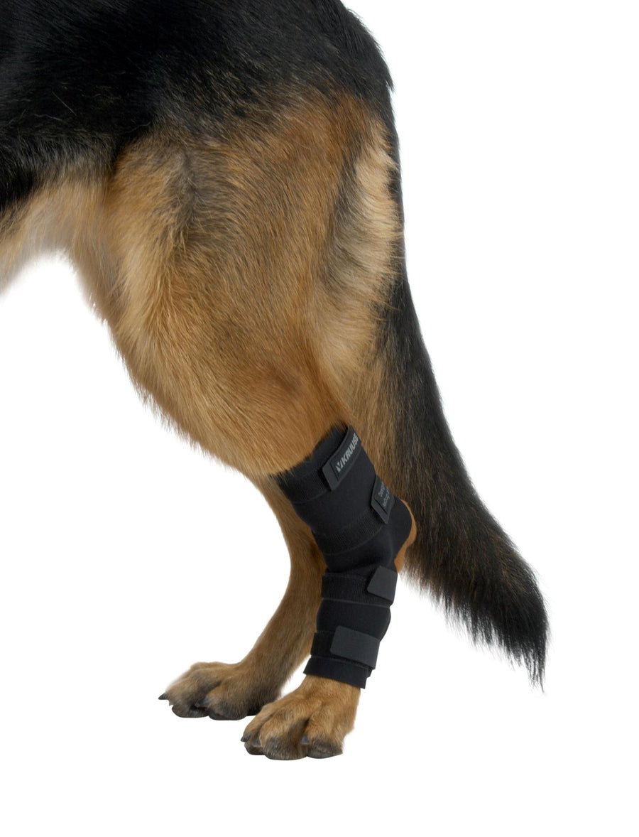 BUSTER Rehabilitación Protector De Jarrete