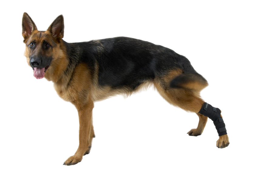BUSTER Rehabilitación Protector De Jarrete