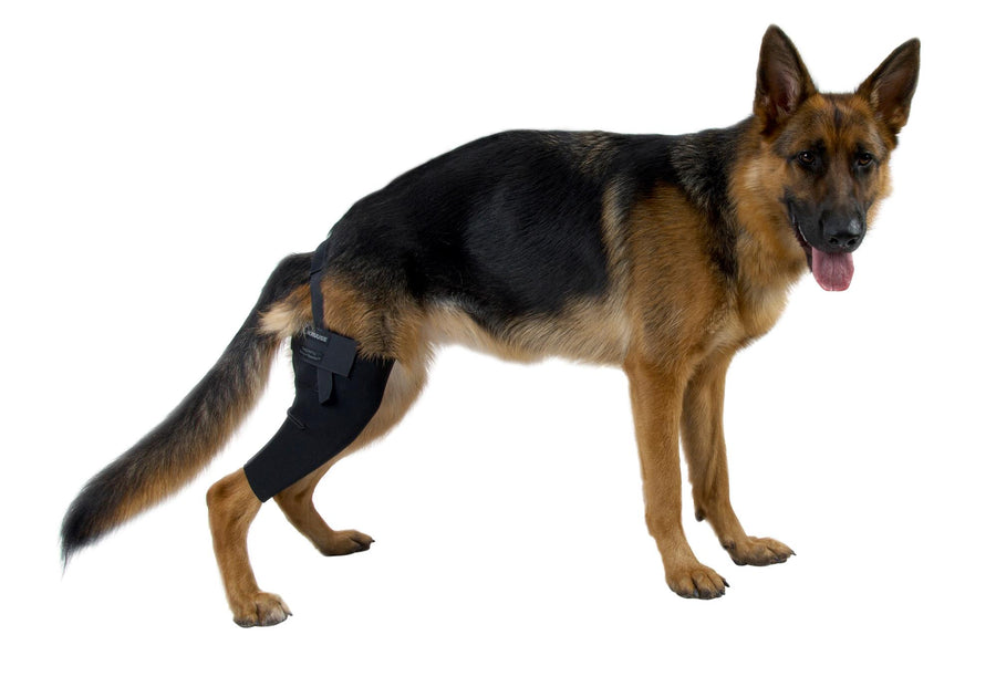 KRUUSE Rehabilitación Protector de Rodilla