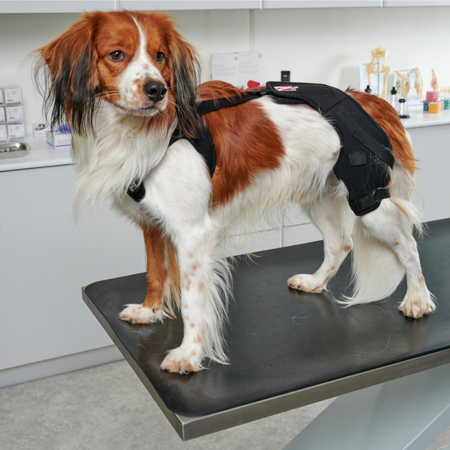 Kruuse Rehabilitación Pro Knee Protector Derecho
