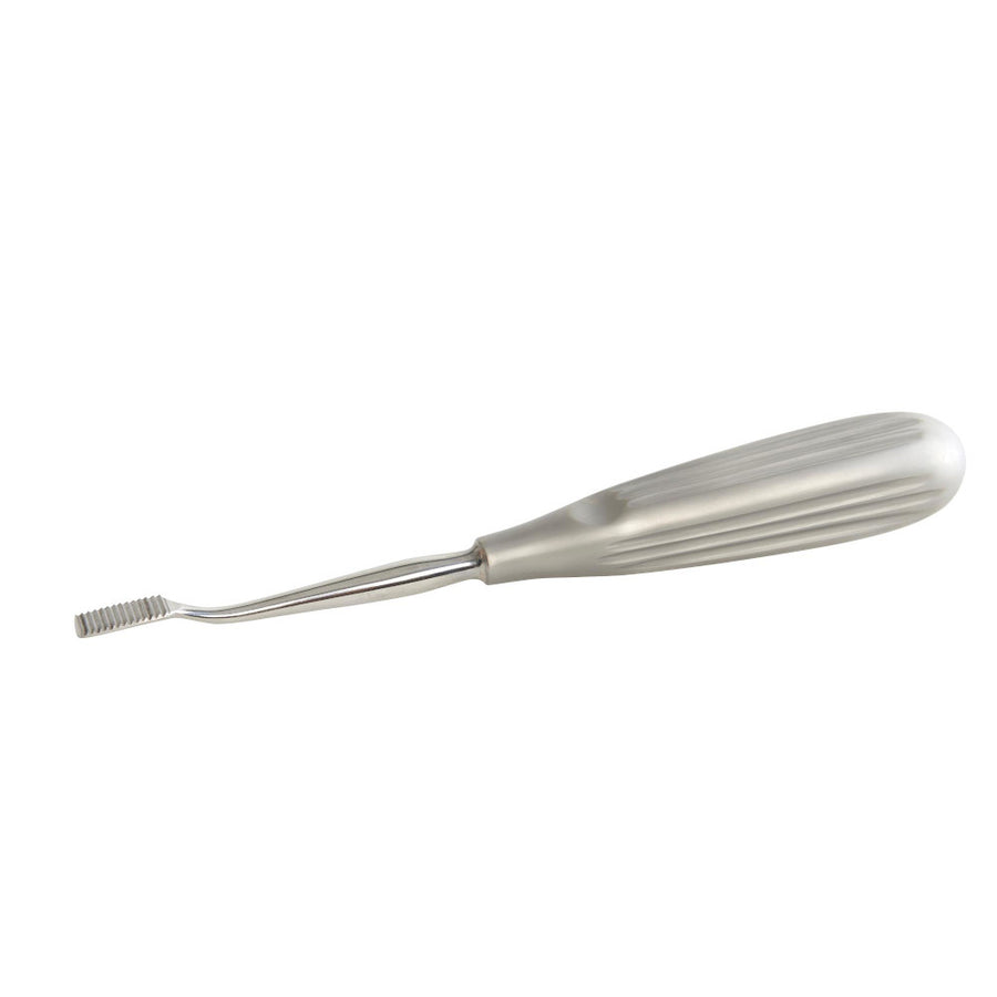 Kruuse Raspador Dental Para Conejos Y Roedores (Ancho).