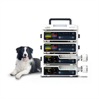 BeneFusion eDS Vet Cerebro serie E