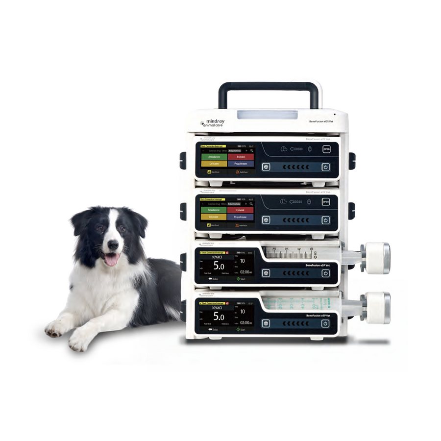 BeneFusion eDS Vet Cerebro serie E