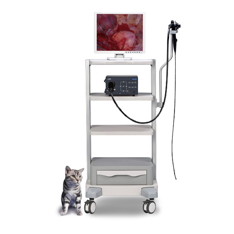 Vetina ES3 Endoscopio flexible veterinario