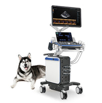 Ultrasonido Mindray Vetus 8